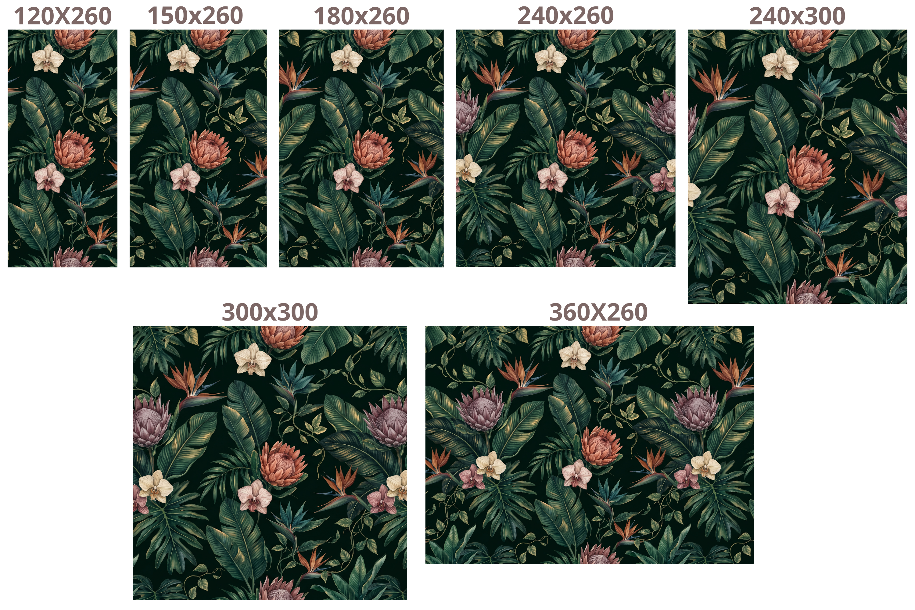 Dark Moody Tropical Wallpaper, Botanical Protea & Bird of Paradise Wall Mural for Living Room and Bedroom