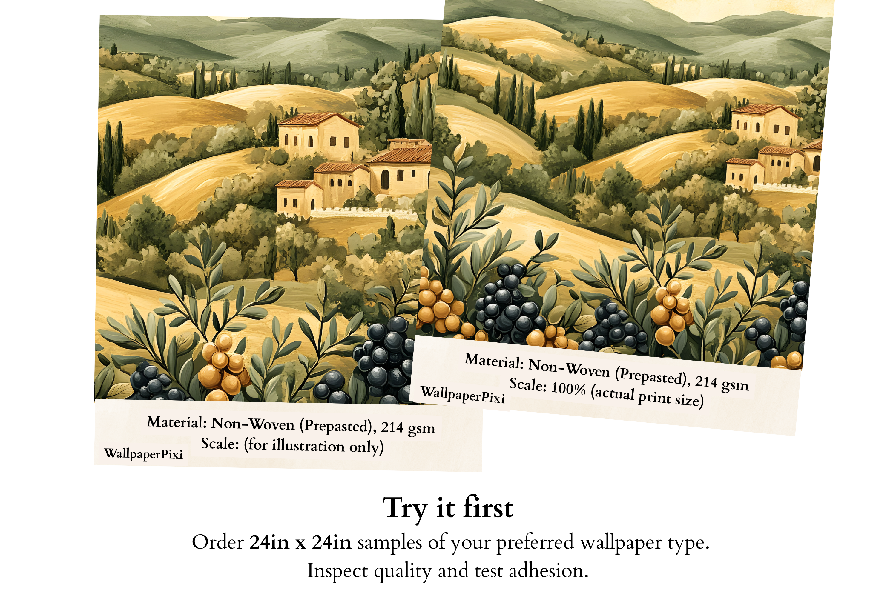 Tuscan Landscape Wall Mural | Italian Countryside Olive Grove Scenic Design