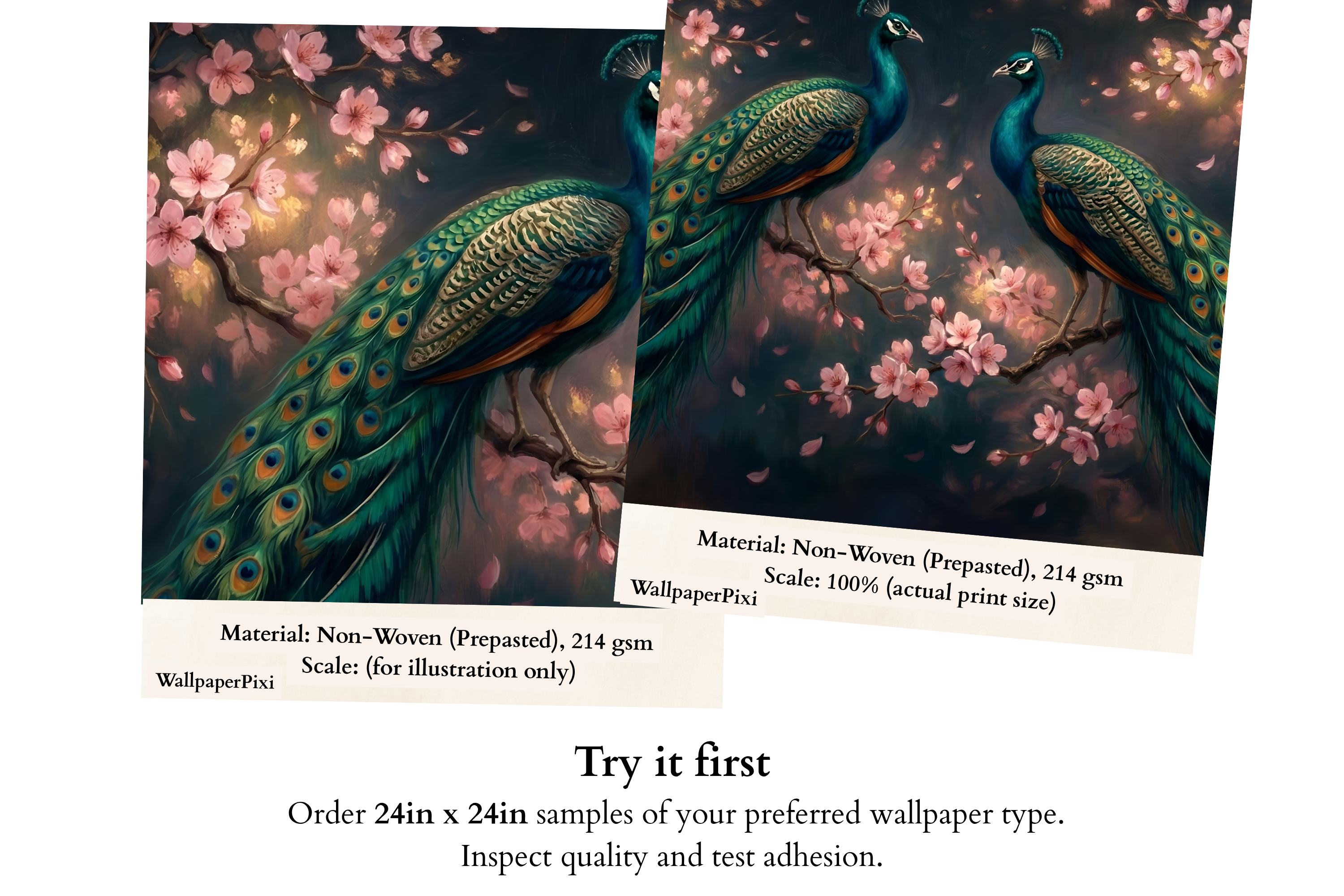 Dark Peacock Wall Mural | Chinoiserie Cherry Blossom Bird Botanical Design