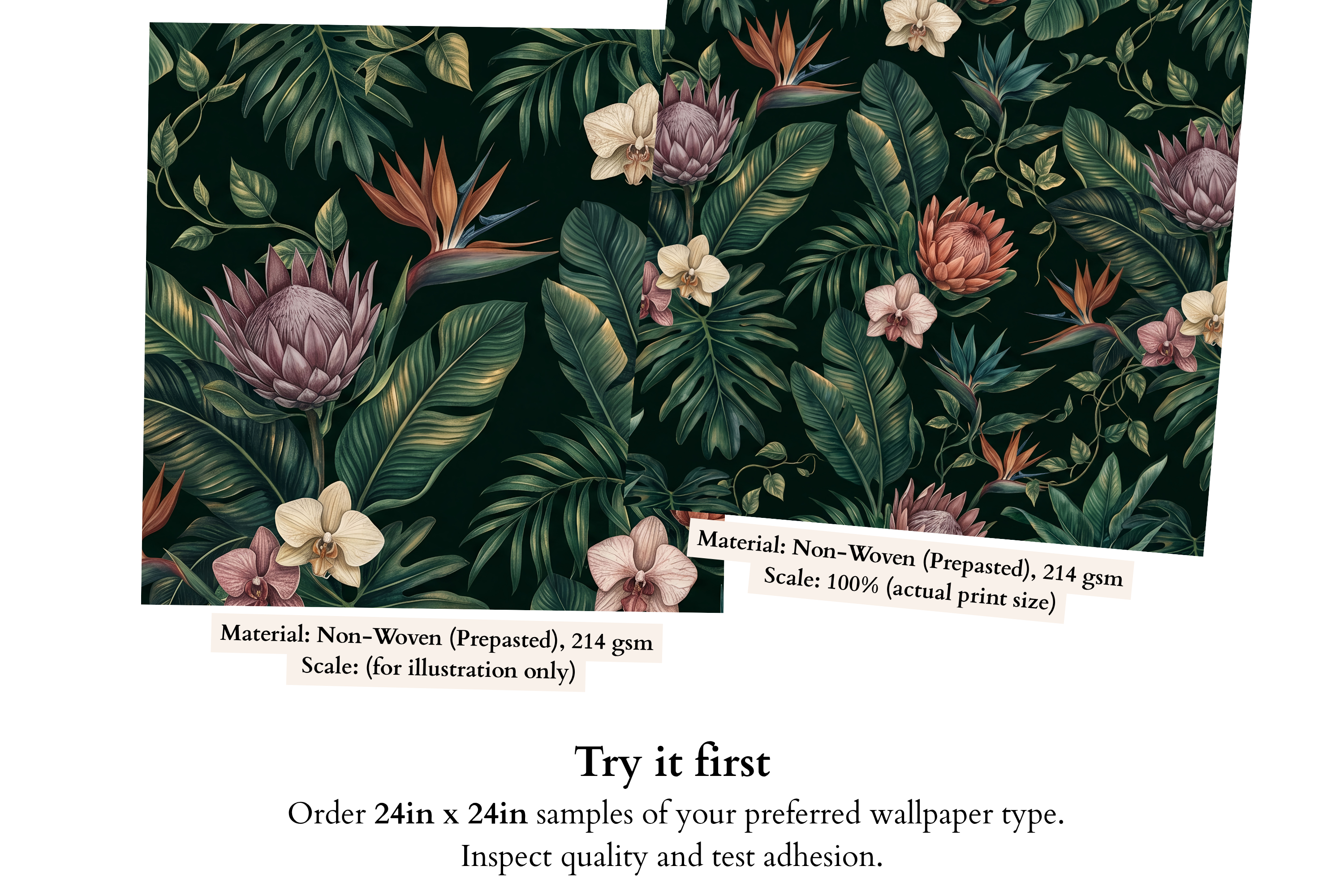 Dark Moody Tropical Wallpaper, Botanical Protea & Bird of Paradise Wall Mural for Living Room and Bedroom