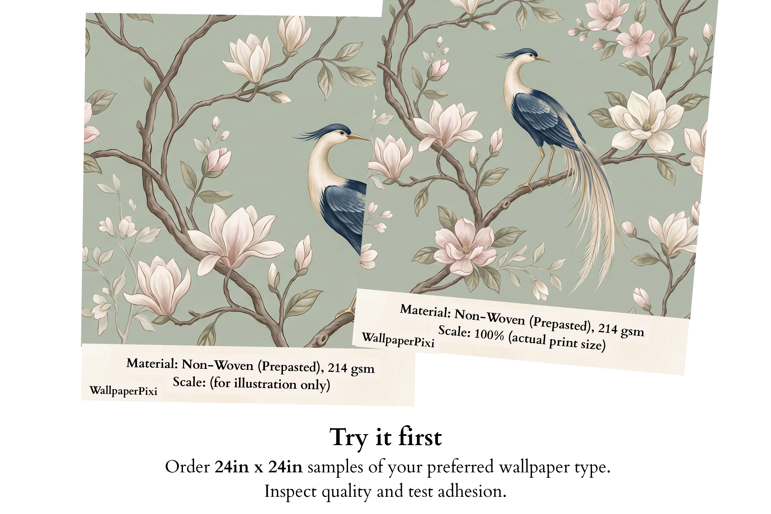 Elegant Chinoiserie Bird & Magnolia Wall Mural Sage Green Floral Removable Wallpaper