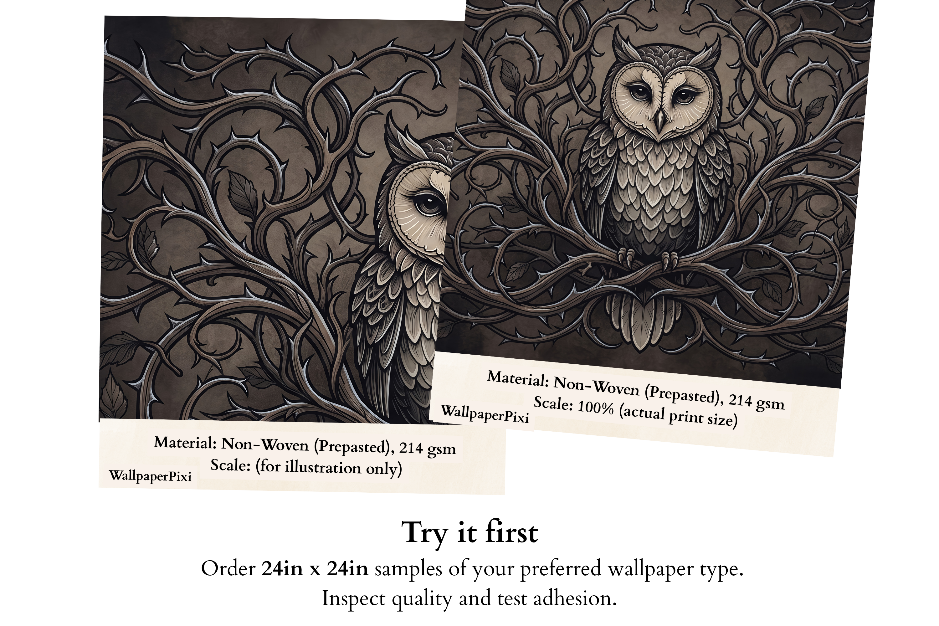 Moody Gothic Owl & Thorny Vine Wall Mural Dark Academia Vintage Engraving Wallpaper