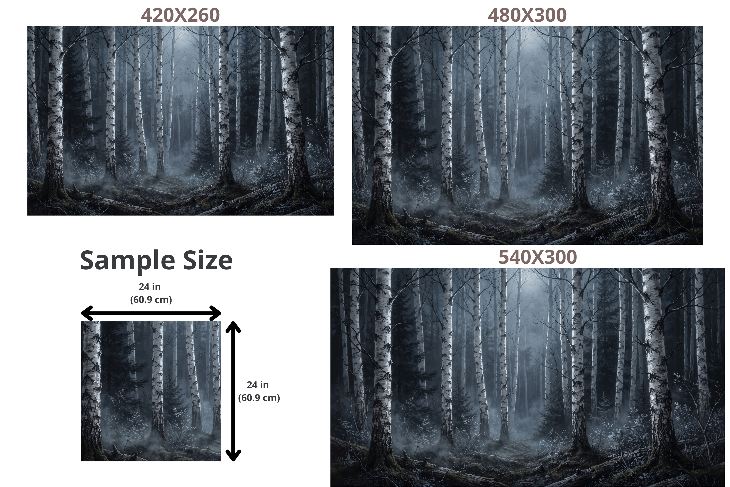 Moody Nighttime Birch Forest Wall Mural Dark Gothic Woodland Wallpaper