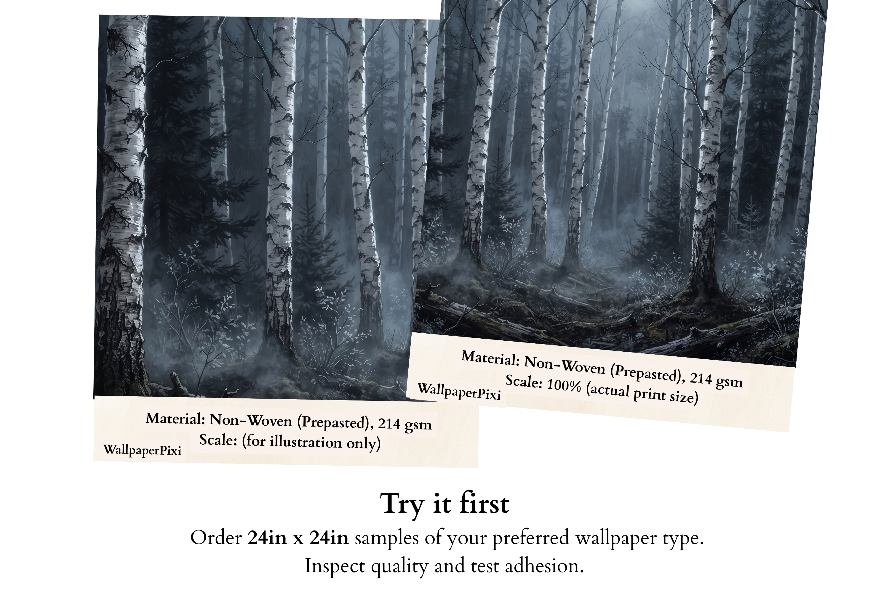 Moody Nighttime Birch Forest Wall Mural Dark Gothic Woodland Wallpaper