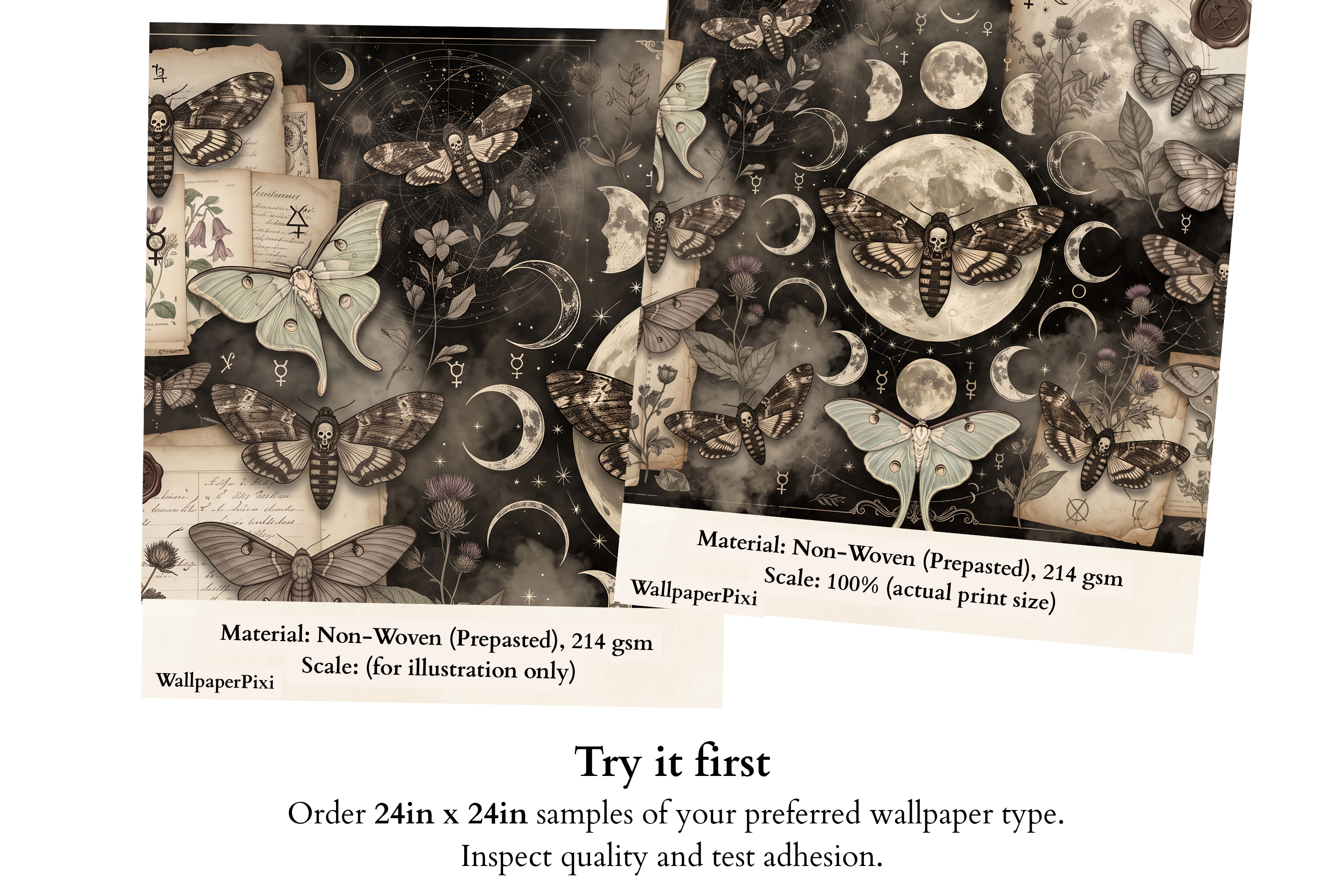 Mystical Moth & Moon Phase Wall Mural Dark Academia Gothic Collage Wallpaper