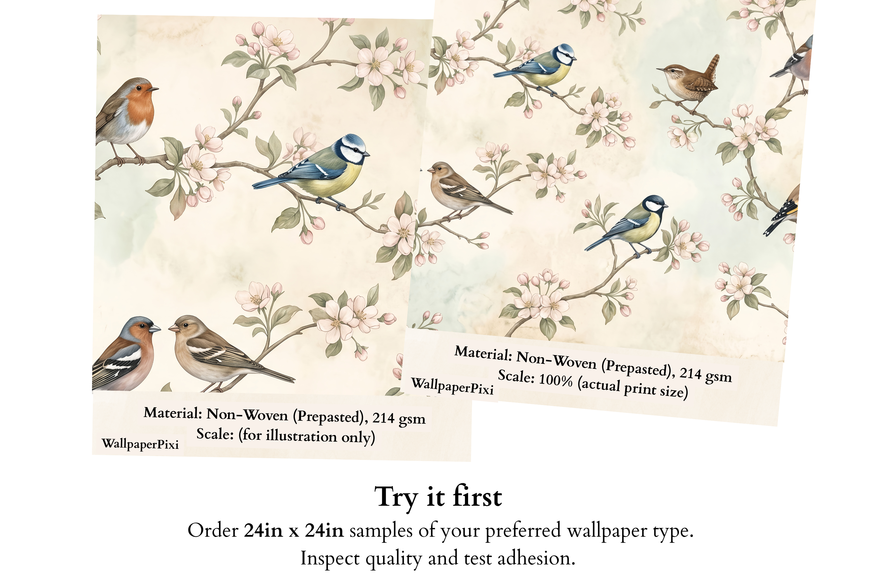 Vintage Spring Songbirds & Blossoms Wall Mural Botanical Garden Wallpaper